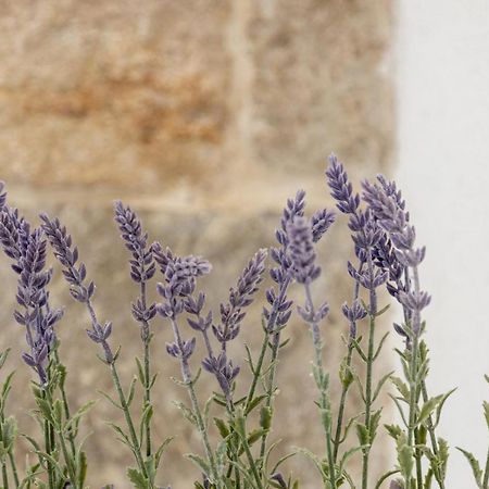 Aparrtment Terra- Combine Beach&Old Town Lejlighed Split Eksteriør billede